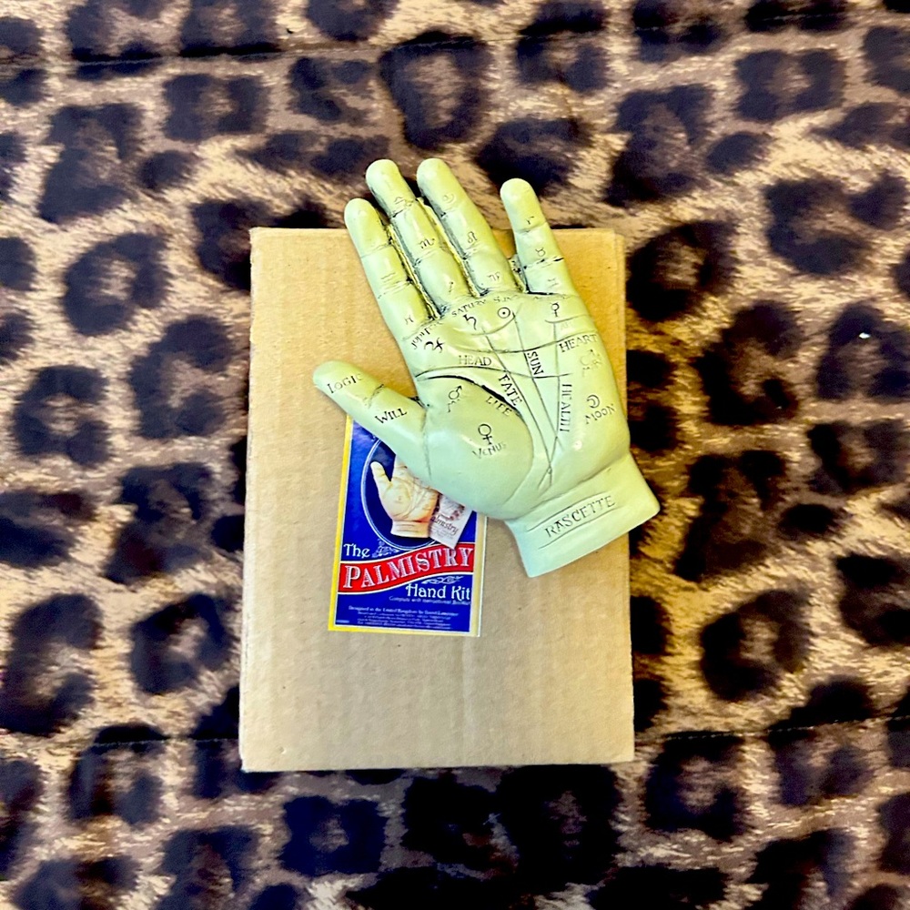 Palmistry Hand Kit